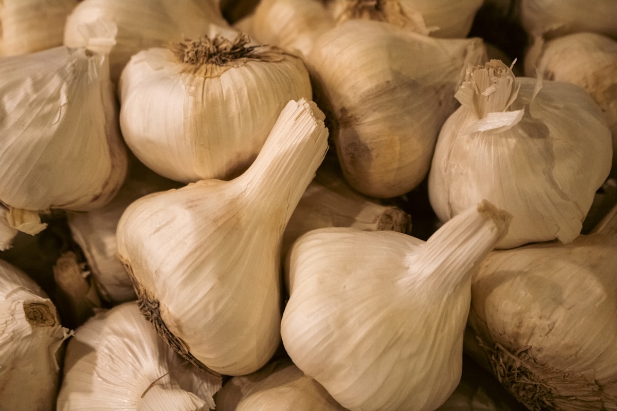 Aglio Rosso di Sulmona