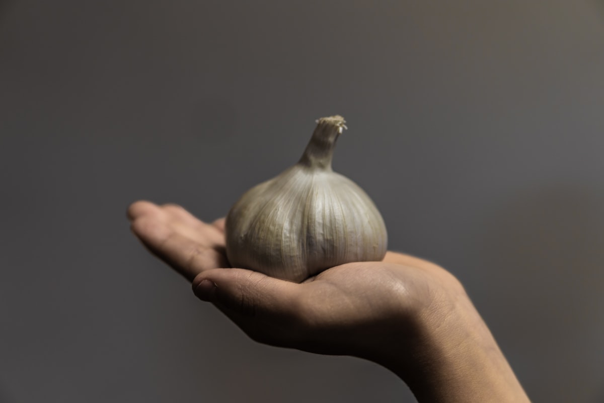 Aglio Autunnale Nero