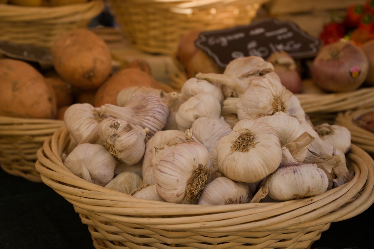 Aglio Dolce Primavera